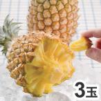  Family жизнь Ishigakijima производство снэки сосна 3 шар ананас сосна фрукты фрукты оплата при получении не возможно 