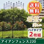 フェンス 目隠し アイアン 220 ハイタイプ 2枚組 ブラック ガーデンフェンス ガーデニング 枠 柵 仕切り 目隠し 代引不可