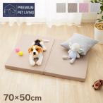  выдерживающий давление минут . коврик для домашних животных коврик S размер домашнее животное матрац 70×50 толщина 5cm пол смещение предотвращение антибактериальный дезодорация водонепроницаемый . грязный обработка PLEMIUM PET LIVING