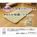 医師との共同開発 い草寝具 『アスク 汗取P』 セミダブル 約120×200cm