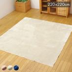 ラグ カーペット 3畳 洗える 無地 『イーズ』 アイボリー 約220×220cm 裏:すべりにくい加工 ホットカーペット対応 イーズ 代引不可
