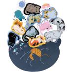 11匹にゃんこ バランス積み木 積み木 猫 バランス 室内遊び 親子であそぶ 子ども 大人 知育玩具 手指の運動 代引不可