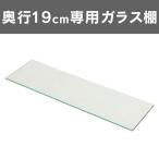 コレクションラック レギュラー 奥行き19cm 専用ガラス棚板 コレクション フィギュアラック ディスプレイ フィギュア 代引不可