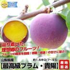  Special A разряд товар прямая поставка от производителя Yamanashi префектура производство высший класс слива *..1.5 kilo несессер 