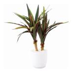 ミニ観葉ミニユッカ白フェイクグリー...