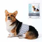 M-PETS エムペッツ 洗える 男の子用オムツ WASHABLE L おむつ パンツ マナーパンツ おす オス ペット用おむつ 介護 老犬 しつけ