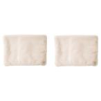 蓄熱式湯たんぽ2個セット プリズメイト 美容・健康・フィットネス GF-WA026-GG×2 代引不可