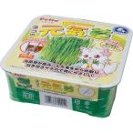 yamahisapetio кошка. изначальный ..