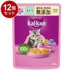 その他キャットフード