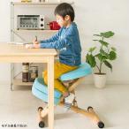 学習チェア 補助クッション付 プロポーションチェア キッズ 背筋が伸びるチェア キッズチェア 子供チェアー 学習イス 学習椅子 代引不可