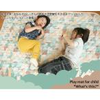 お遊びプレイマット これなんだ？ 丸洗い可能 ウォッシャブル(代引き不可)