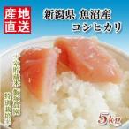Yahoo! Yahoo!ショッピング(ヤフー ショッピング)米 日本米 特Aランク 産地直送 25年度産 新潟県 魚沼産 コシヒカリ 雪室貯蔵米 飯塚農園 特別栽培米 5Kg【こしひかり】【精米無料】