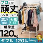 業務用 頑丈ハンガーラック 棚付き ダブル 幅120 【耐荷重120kg】 REK-4023