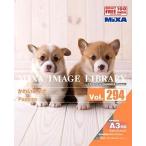 MIXA IMAGE LIBRARY Vol.294 かわいい子犬 マイザ XAMIL3294