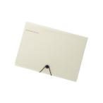 リヒトラブ キャリングドキュメント ベージュ A-7588-16 00140415【まとめ買い5冊セット】