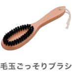 毛玉ごっそりブラシ 2層構造 衣類 傷めない お手入れ 洋服ブラシ 吊り下げられる 専用 ブラシクリーナー付き
