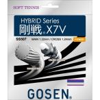 GOSEN ゴーセン SS507 ゴーセンX7V ロイヤルブルー SS507RB