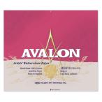 ホルベイン アヴァロン ブロックAVB-F10 (271006) 271006 1個（直送品）