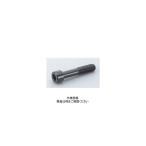 ナベヤ ソケットスクリュー SKS05030 1セット(91本)（直送品）