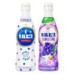 karupis&karupis..< разбавление для > 470ml каждый 1 шт. комплект 