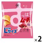 Large размер ...m-cho chip s.... слива 1 комплект (1 пакет ×2) озеро . магазин картофель chip s легкая закуска 