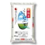 精白米 新潟県産こしいぶき 10kg 令和5年産 米 お米