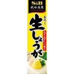 エスビー食品 S＆B 風味推薦 おろし生しょうが 無着色 40g 1本