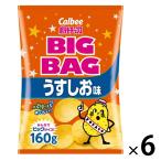  картофель chip s легкая закуска закуска Calbee большой сумка легкий .. тест 160g 1 комплект (1 шт ×6)