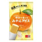 アイス シャーベット 凍らせて食べる　みかんアイス 4本入 70g 1個