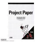 オキナ プロジェクトペーパー A4 5mm方眼 50枚 スヌーピー PPPA4 1冊