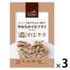 【ワゴンセール】おつまみ みんなのおやつ　やわらかイカフライ 1セット（1個×3）