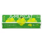 ガム こだわりフルーツ ＆マスカット 1個