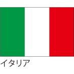 [ outlet ] Hattori отвечающий .* оборудование орнамент для флаг Италия 105×70cmponjiflag0019 1 листов 