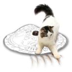  catch *mi-*if* You * can 2 кошка игрушка кошка .