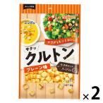 ニップン クルトン プレーン味 チャック付き 30g 1セット（1個×2）