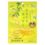 ドライフルーツ 食べきりサイズ ひとくちはっさく 1個 南信州菓子工房