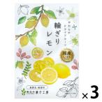 ドライフルーツ 食べきりサイズ 輪切りレモン 国産 1セット(1個×3) 南信州菓子工房