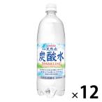  Sangaria Iga. натуральный вода 1L 1 коробка (12 шт. входит )