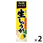 エスビー食品 S＆B 風味推薦 おろし生しょうが 無着色 40g 2本