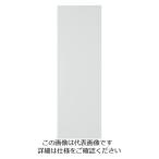  Trusco Nakayama TRUSCO магнит сиденье без блеска 100X300 белый MS-N1-W 1 листов 414-4783