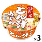 ヤマダイ ニュータッチ 懐かしのとん汁うどん 1セット（3個）