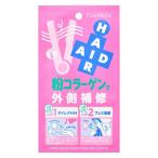 トレンドホリック ヘアエイド粉コラーゲン 3回分（2g×3包） 粉状ヘアトリート
