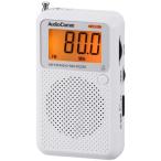  ом электро- машина мобильный радио широкий FM белый AudioComm RAD-P2226S-W 1 шт 