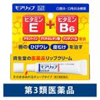 モアリップN 8g 資生堂薬品 唇のひびわれ 口角炎【第3類医薬品】