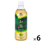 【アウトレット】チェリオ お茶 玉露入り 1セット（500ml×6本）　国産茶葉　水分補給