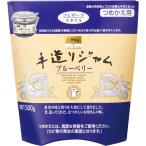 カンピー ザ・プレミアム 手造りジャムつめかえ用ブルーベリー 500g 1個