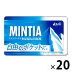 MINTIA(mintia) wild & прохладный 20 шт Asahi группа еда сладости планшет 