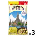地球の歩き方　揚げせん　グリーンカレー味 1セット（1個×3） スナック菓子 おつまみ 食べきり菓子