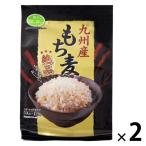  Kyushu производство мочи муги в виде палочки 50g×12 пакет входить 1 комплект (12 пакет входить ×2) камень . промышленность местного производства мочи муги шт упаковка небольшое количество .