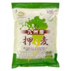 九州産押麦　800g 1個 石橋工業 国産